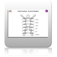 ICE Chart 4 - Postural Platforms