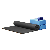 Yoga Home Starter Kit - Mat, DVD, 2 Blocks & Strap