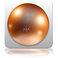 ZZ Bulk 15 - Freight Check - Maxball 55cm